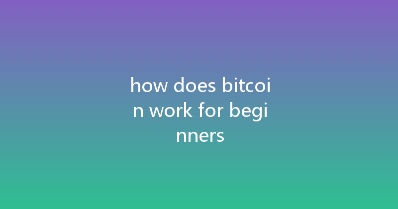 how does bitcoin work for beginners 