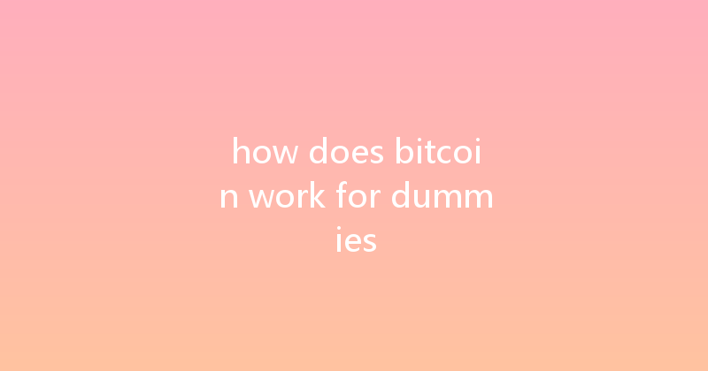 how does bitcoin work for dummies 